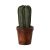 MAILEG FLOWER POT WITH CACTUS