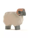 OSTHEIMER MOORLAND RAM