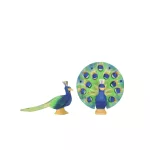 OSTHEIMER PÁVA NYITOTT FARKTOLLÚ