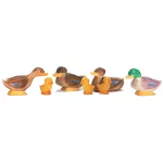 OSTHEIMER DUCK SITTING