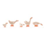 OSTHEIMER GOSLING HEAD HIGH