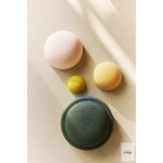 STAPESTEIN SPRING SPECIAL INSIDE SET 2026