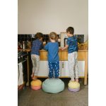 STAPELSTEIN GROW MINT