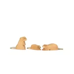 OSTHEIMER BEAVER SMALL