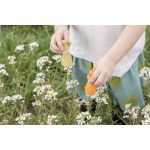 GRAPAT NINS VARÁZSLÓK 