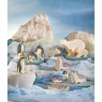 OSTHEIMER SEA LION HEAD HIGH