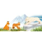 OSTHEIMER SNOW LEOPARD, 2024