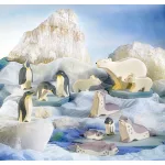 OSTHEIMER PENGUIN HEAD DOWN