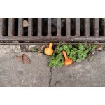 GRAPAT MANDALA -  TÖK