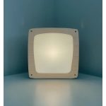 MESELÁMPA - BIJDEHANSJE  PRÉMIUM LÁMPA, JUHAR - KÉP NÉLKÜL