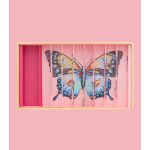 BILLES & CO MARBLES SET -  BUTTERFLIES ANAMORPHIC BOX