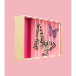 BILLES & CO MARBLES SET -  BUTTERFLIES ANAMORPHIC BOX