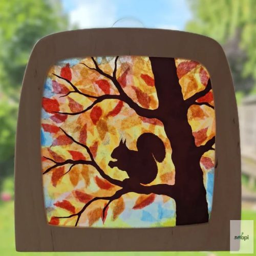 DIY Transparency: Squirrel