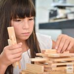 KAPLA - 280 planks CHEST,  Established Builders