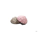 MUFFIK balancing stone - Shells, pastel pink