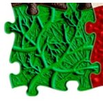 MUFFIK ORTHOPEDIC MAT ROORTS SOFT - GREEN