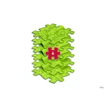 MUFFIK KÍGYÓ SZETT, 6 DARABOS - LIME