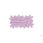 MUFFIK KÍGYÓSZETT, 2 DB-OS - LILA, limitált