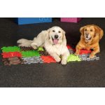 MUFFIK SET FOR HAPPY DOGS