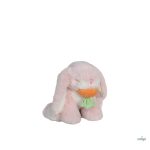 OLLIELLA  OETBIN-BIN-BE-P