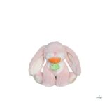 OLLIELLA  OETBIN-BIN-BE-P