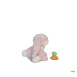 OLLIELLA  OETBIN-BIN-BE-P