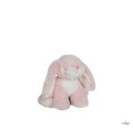 OLLIELLA  OETBIN-BIN-BE-P