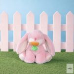 OLLIELLA  OETBIN-BIN-BE-P