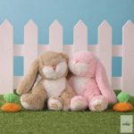 OLLIELLA  OETBIN-BIN-BE-P