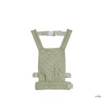 OLLIELLA CARRIERS, SAGE