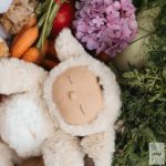 OLLIELLA COZY LAMB PICKET