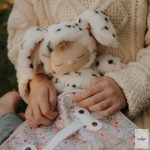 OLLIELLA COZY DINKUM KUTYA, DOMINO