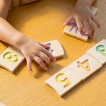 PLANTOYS NUMBER 1-10