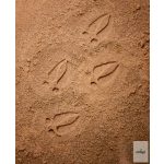 YELLOW DOOR NYOMOZÓ KŐSZETT, ERDEI LÁBNYOMOK, 8 DB - előrendelésre