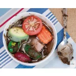 YELLOW DOOR Vegetables – Sensory Play Stones